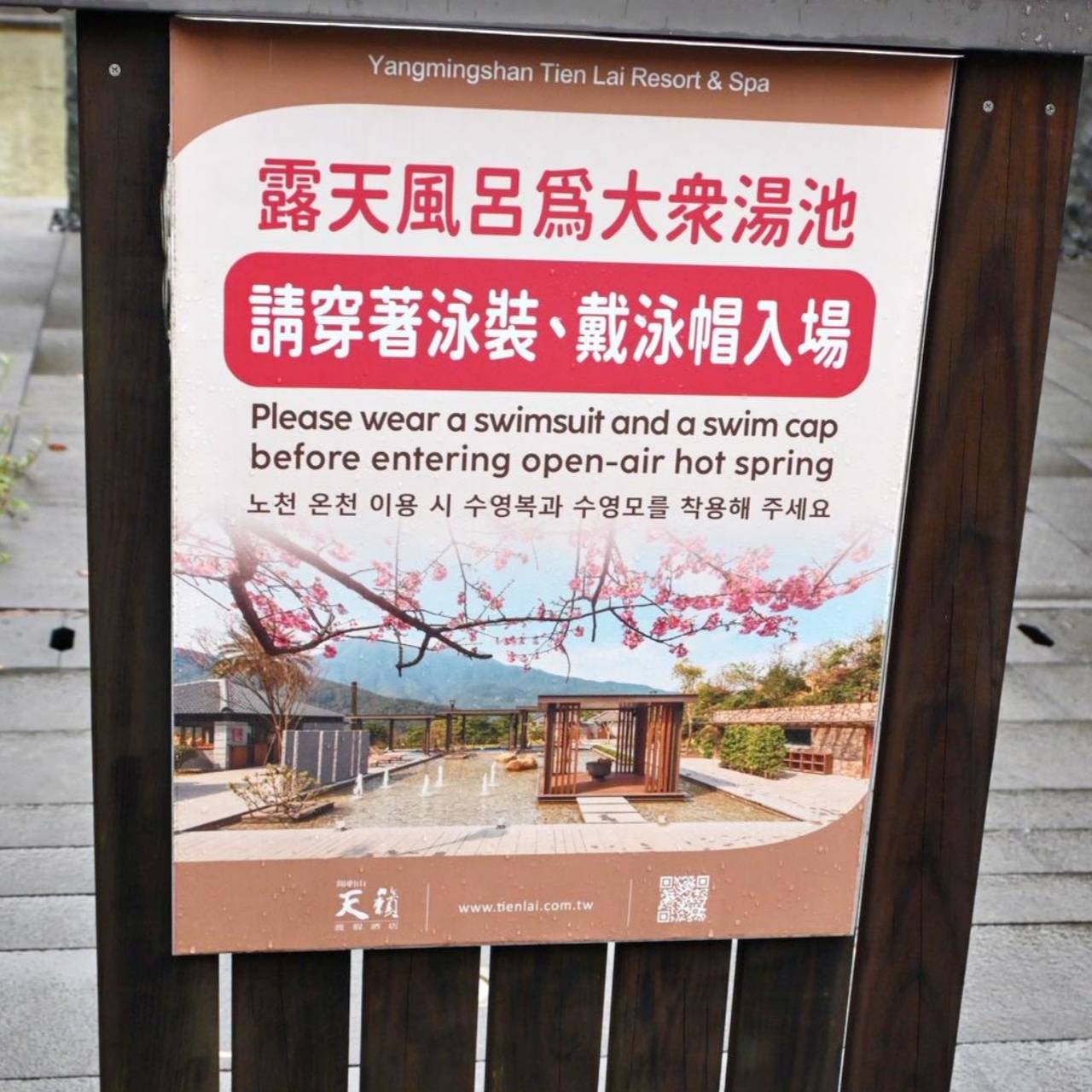 陽明山天籟渡假酒店開箱|金山溫泉飯店住宿體驗、一泊二食、夏燒台味星空戶外廚房 BBQ、房型設施完整分享! - 第82張圖 陽明山天籟渡假酒店開箱|金山溫泉飯店住宿體驗、一泊二食、夏燒台味星空戶外廚房 BBQ、房型設施完整分享!